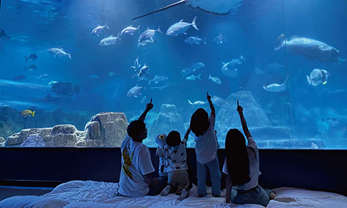 【悅來x海洋夜未眠】悅來飯店 & 夜宿水族館