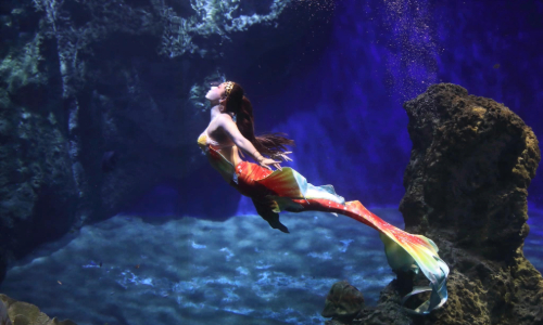 住三天二夜贈主題園&美人魚秀門票