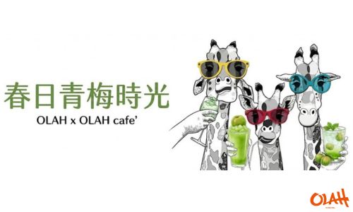 Green plum Afternoon Tea Package
