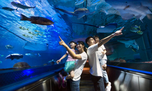 暑假早鳥3天2夜含海洋公園門票