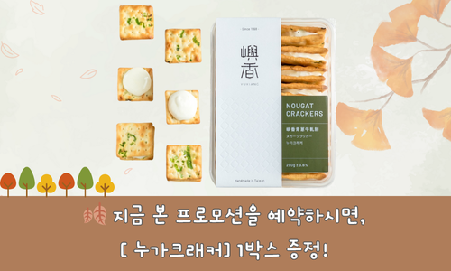  대만 감성 여행 프로젝트 – 여행자에게 전하는 집의 맛