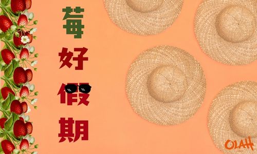 莓好假期