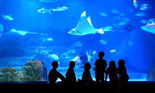 2025年首檔快閃！悅樂旅店X海洋夜未眠三天二夜住宿專案